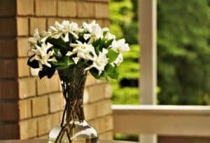 Graziosi fiori di Gardenia in vaso di vetro