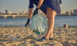 Il ritiro e lo smaltimento della plastica rappresentano un passo essenziale verso la sostenibilità ambientale