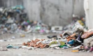 L'Italia e l'Europa, in particolare, stanno affrontando il problema dell'eccessiva produzione di rifiuti e del loro smaltimento in discariche
