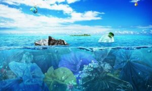 Le immagini di animali marini intrappolati o soffocati da rifiuti plastici hanno catalizzato la consapevolezza pubblica sull'urgenza di affrontare il problema