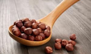 Le nocciole sono uno snack salutare e gustoso che può essere consumato crudo o tostato