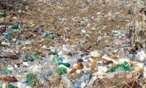 Smaltire correttamente le plastiche aiuta a ridurre l'inquinamento ambientale