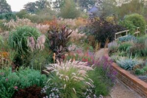 Il Pennisetum offre un'ampia varietà di opzioni per i giardinieri e i progettisti paesaggisti